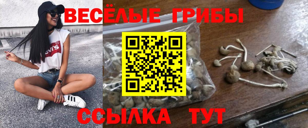 Cocaine Светлоград