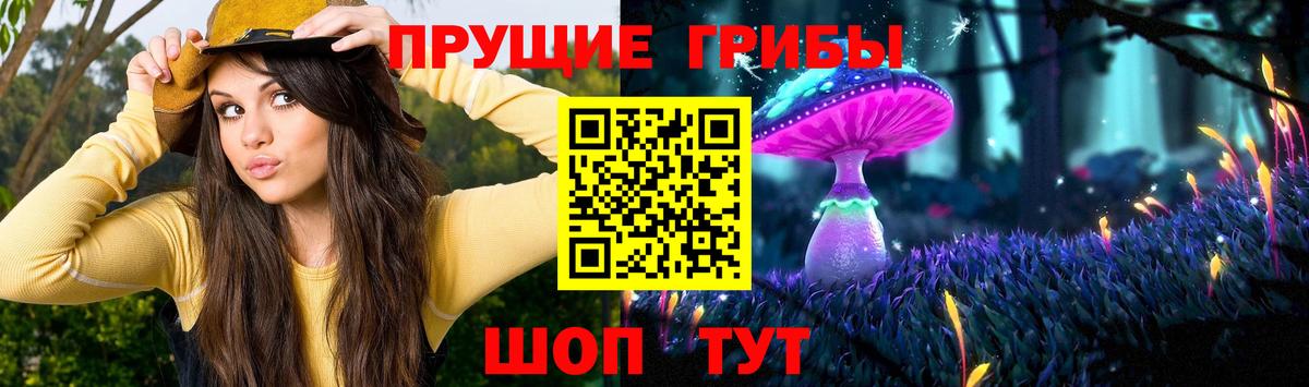 где можно купить наркотик  Вход с VPN  Светлоград  Псилоцибиновые грибы MAGIC MUSHROOMS 