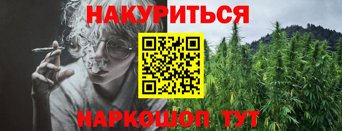 Бошки Шишки конопля Светлоград